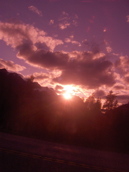 Sunshine