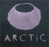 black bleached ARCTIC shirt
