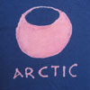 dark blue bleached ARCTIC shirt
